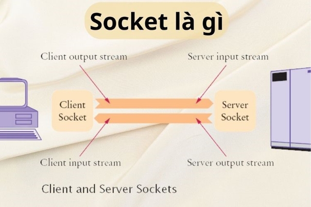 Socket là gì? Những loại Socket được ứng dụng trên thị trường