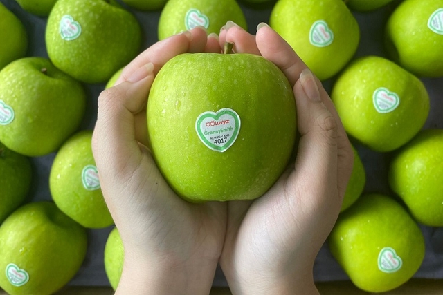 Táo xanh Granny Smith: Xuất xứ, đặc điểm, lợi ích sức khỏe và cách bảo quản được lâu