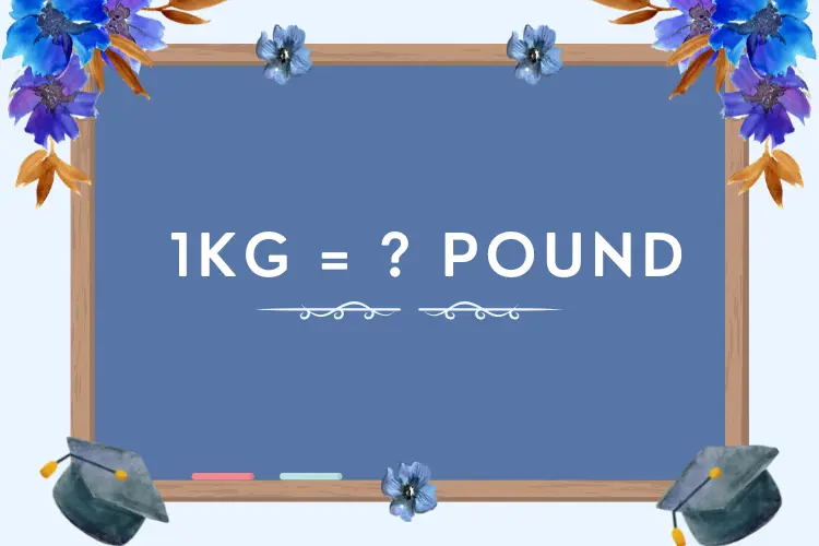 1kg bằng bao nhiêu pound? Cách quy đổi đơn vị khối lượng chuẩn