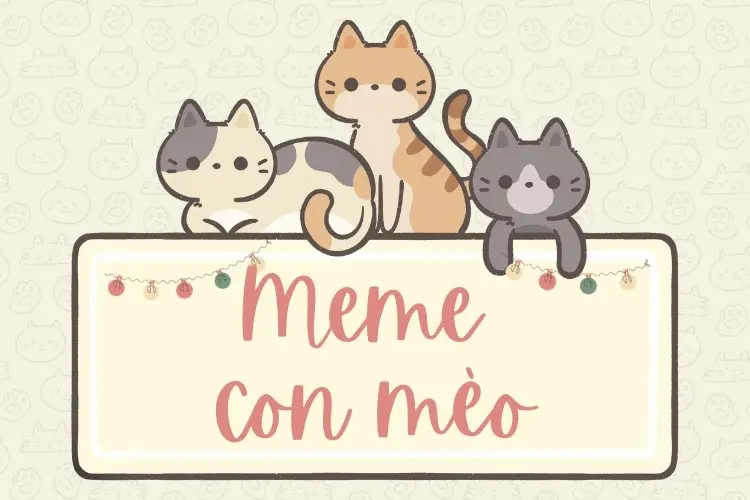 Tổng hợp 1001+ Meme Mèo dễ thương nhất, các Sen lưu ngay cho trẫm
