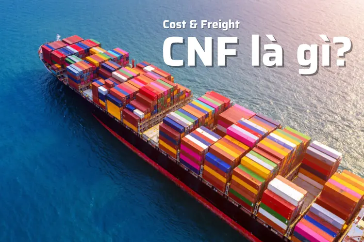 CNF là gì trong hợp đồng ngoại thương? Giải thích dễ hiểu cho người mới ...