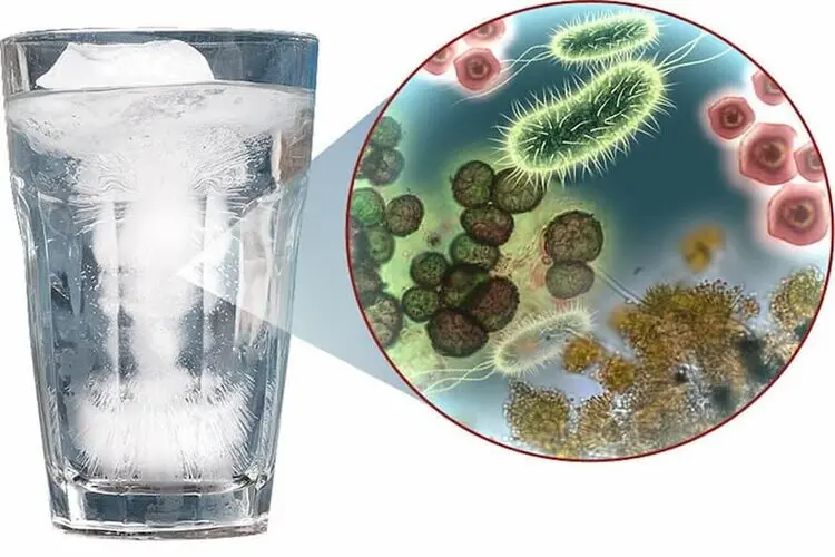 Coliform là gì? Tác hại của Coliform trong nước và cách xử lý Coliform ...