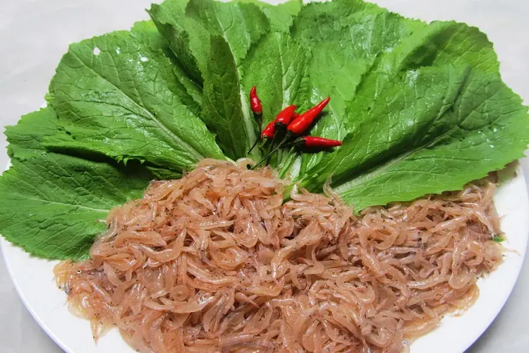 Tìm hiểu về con ruốc biển, đặc sản quý giá đến từ đại dương