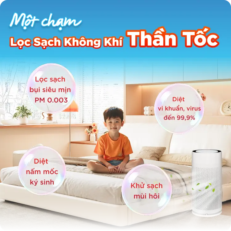 sec6_M.png