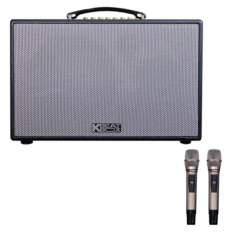 Loa Bluetooth Karaoke ACNOS CS201PU