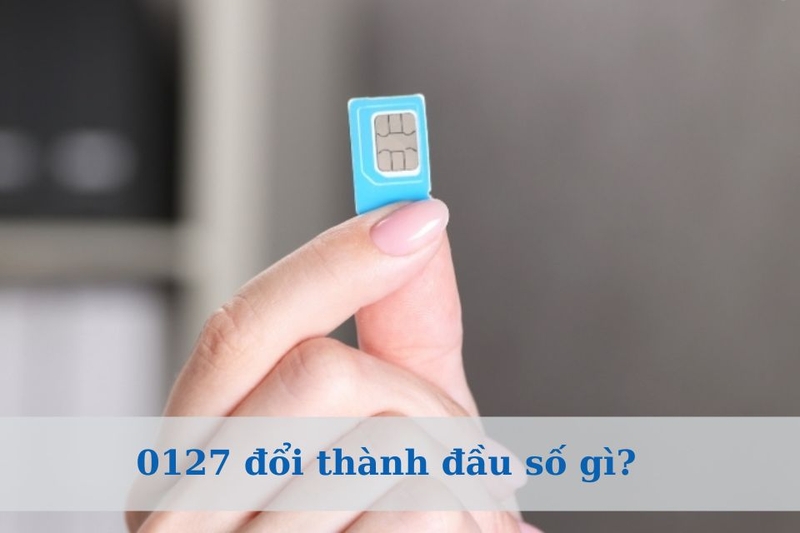 0127 đổi thành đầu số gì