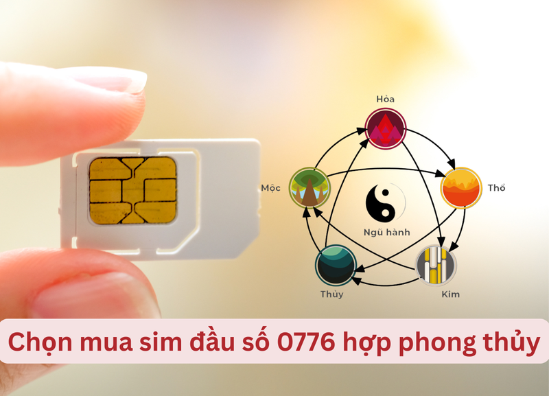 0776 là mạng gì - hình 2