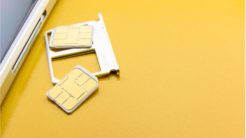 0842 là mạng gì 4