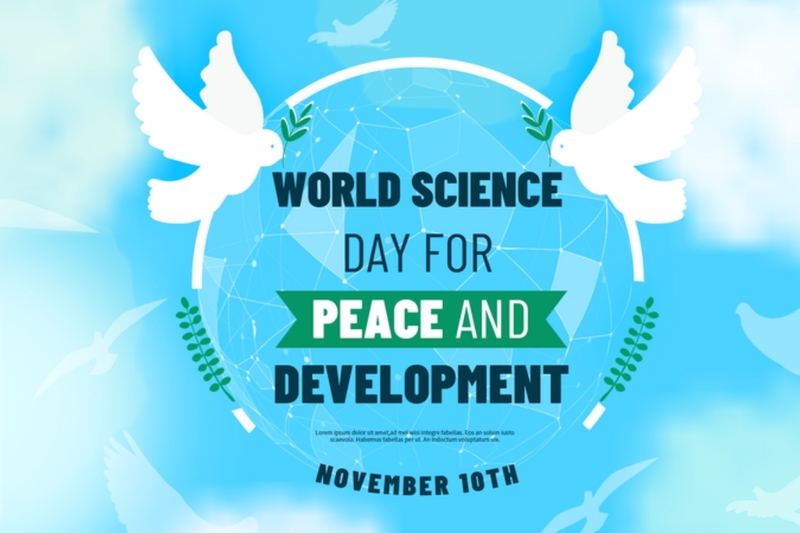 10/11 là ngày gì 4