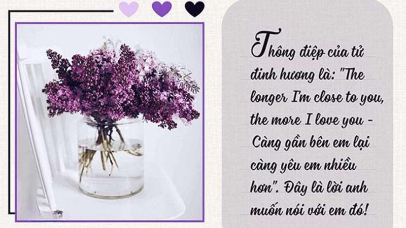 Dành tặng lời chúc tốt đẹp cho vợ yêu