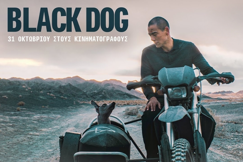 Cẩu trận (Black Dog)