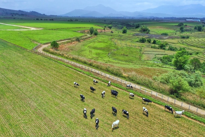 Phường Thanh Điền có cảnh quan thiên nhiên đa dạng, với những cánh đồng xanh mướt
