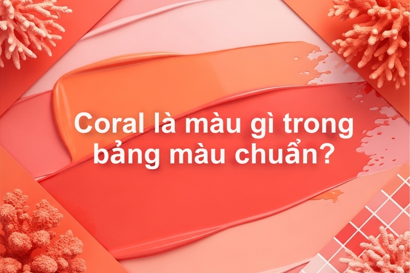 Coral là màu gì trong bảng màu chuẩn?