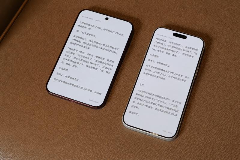 Huawei Pura X View - 14
