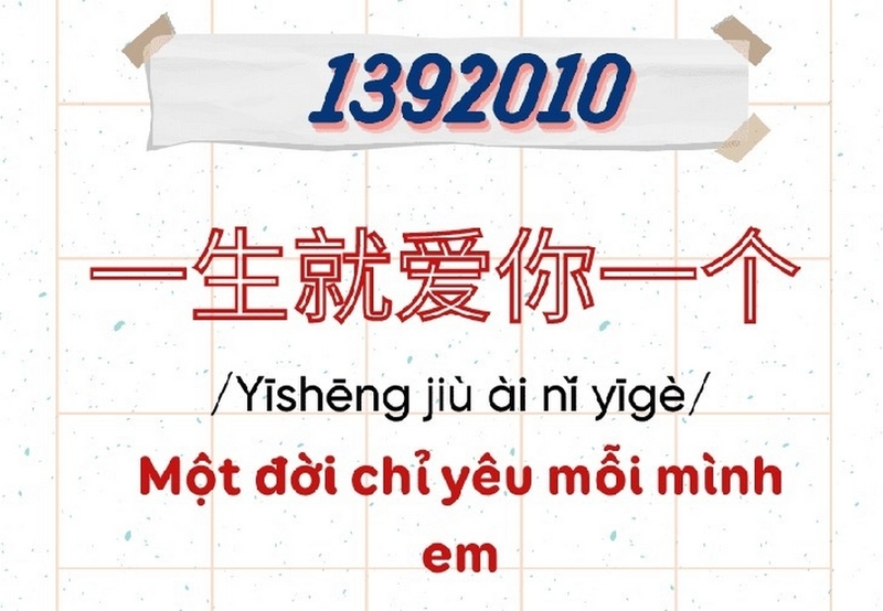 1392010 là gì ảnh 1