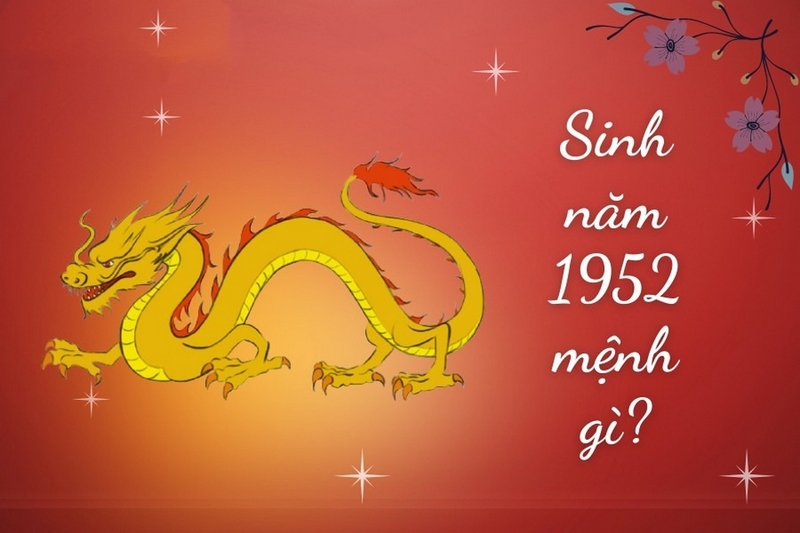 1952 là tuổi con gì ảnh 2