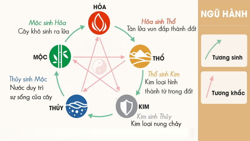 Mệnh Mộc có các mối quan hệ tương sinh và tương khắc đặc trưng