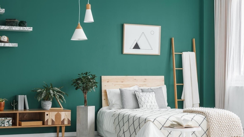 Bạn có thể dùng màu xanh lá cây hoặc xanh ngọc để trang trí nội thất