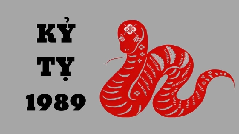 Người sinh năm 1989 nên tránh sử dụng những màu sắc của mệnh Kim như trắng, xám và ghi