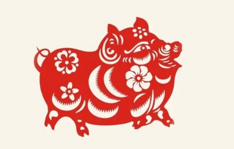 1995 tuổi con gì ảnh 4