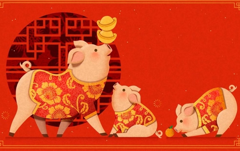 1995 tuổi con gì ảnh 5