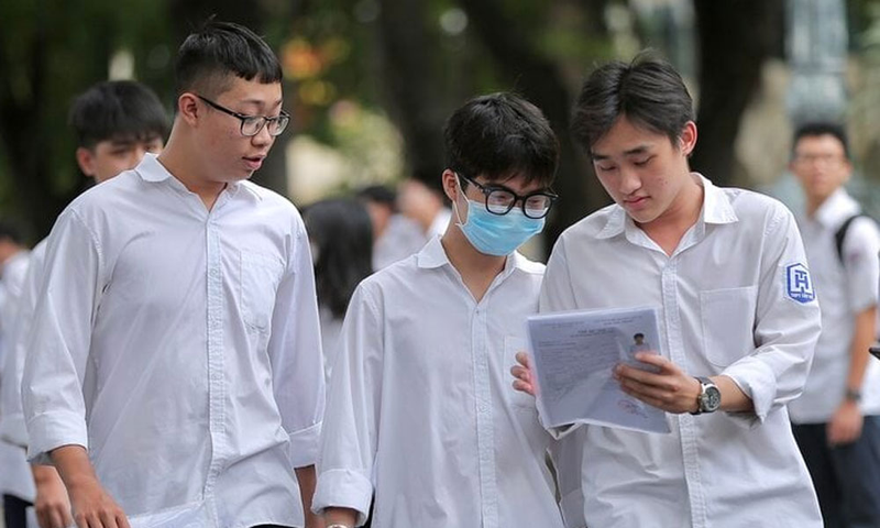 19 điểm vào trường nào 5