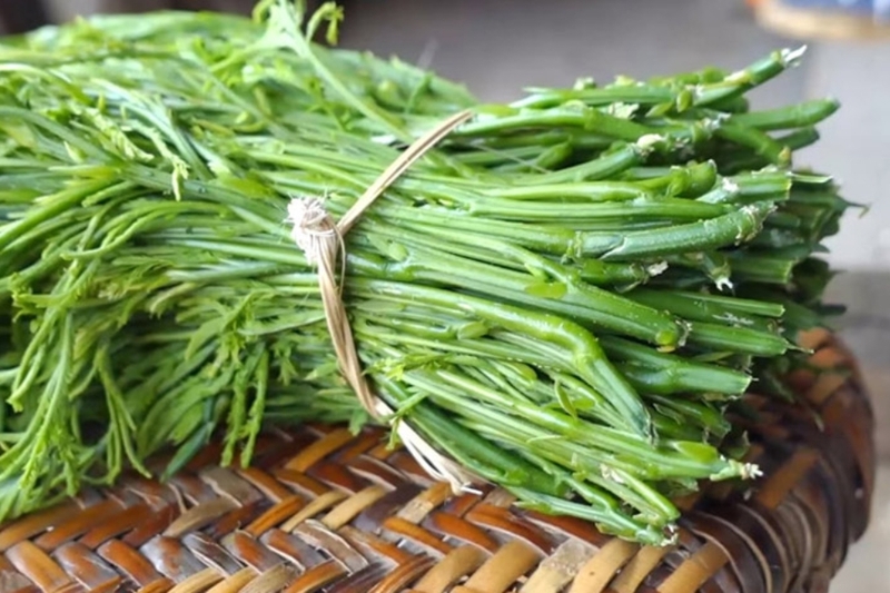 Rau thối (3)