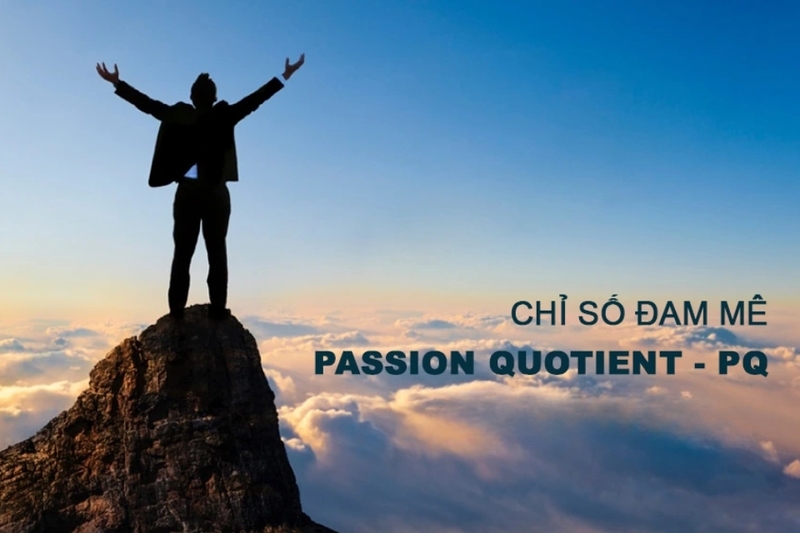 Chỉ số PQ là gì?
