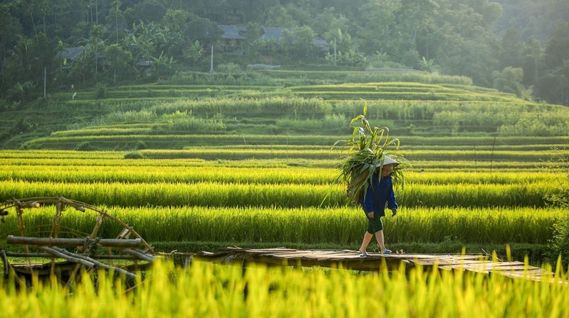 1 công bao nhiêu m2 ảnh 4