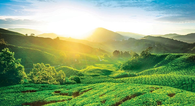 1 đồng Malaysia bằng bao nhiêu tiền Việt Nam - 08