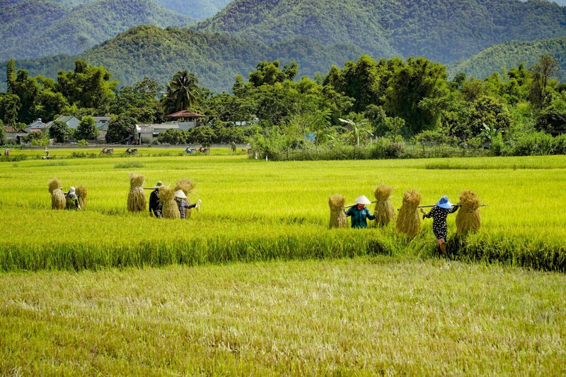 Tiết khí mùa xuân