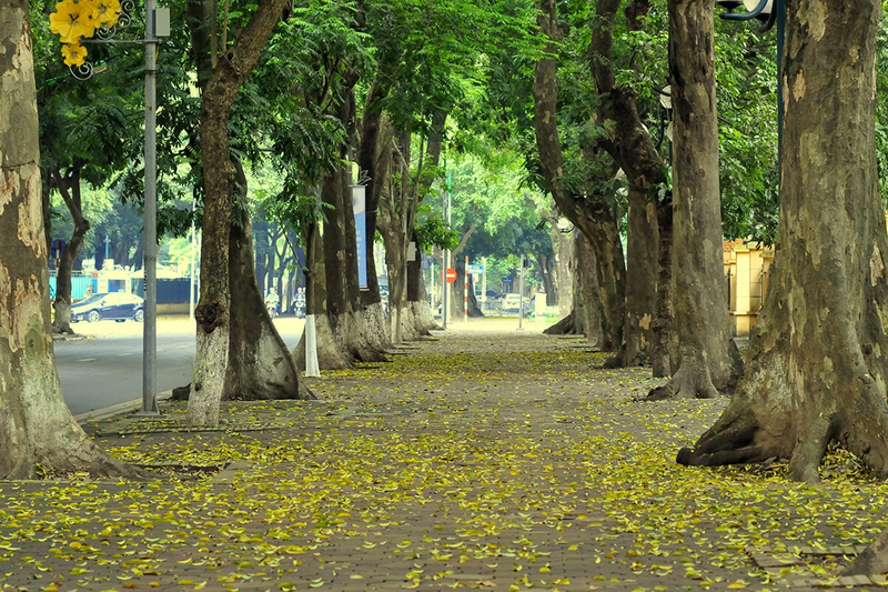 Tiết khí mùa thu