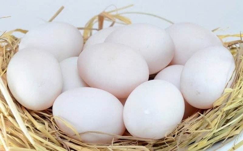 1 quả trứng vịt bao nhiêu protein ảnh 3