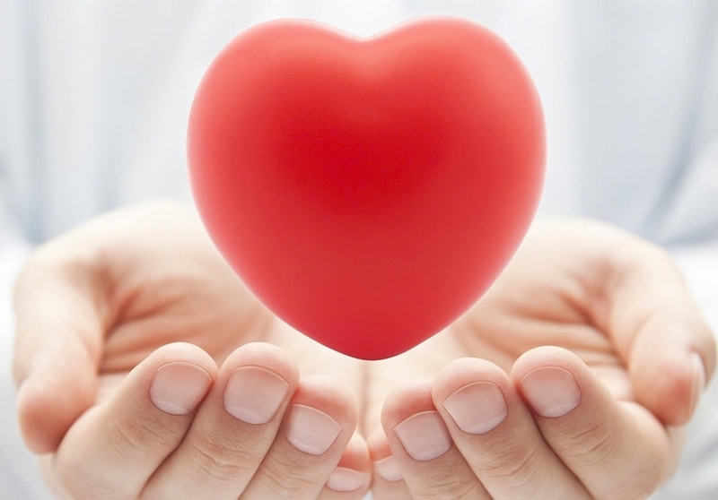 1 quả trứng vịt bao nhiêu protein ảnh 4