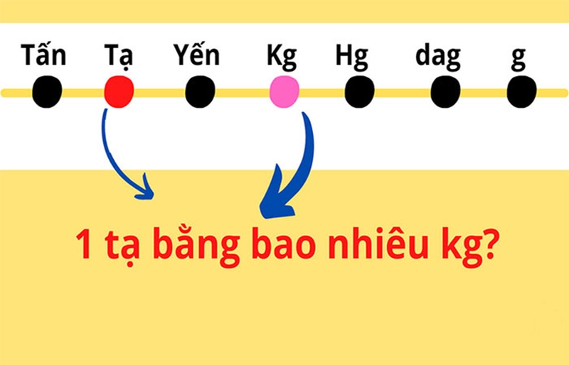 1 tạ bằng bao nhiêu kg? Cách quy đổi đơn giản, chính xác nhất
