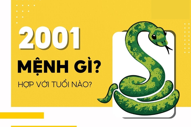 2001 hợp tuổi gì