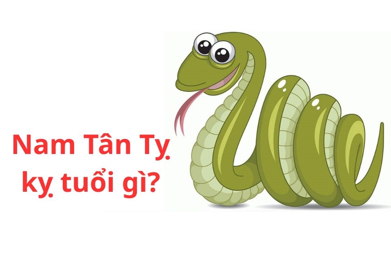 2001 hợp tuổi gì - kỵ tuổi gì