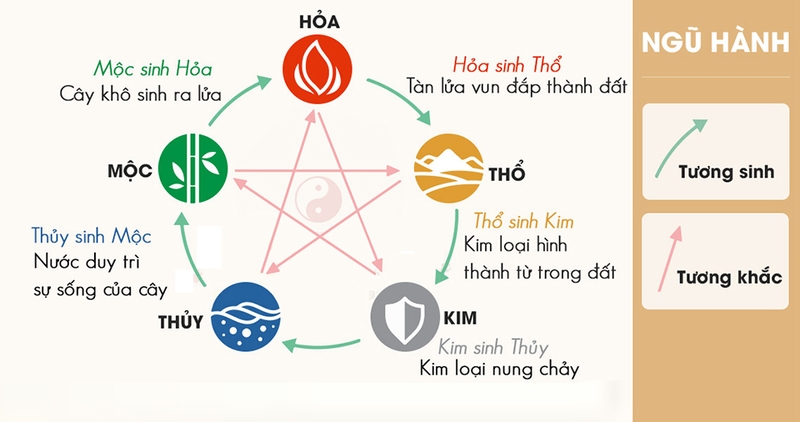 Tìm hiểu tuổi Ất Dậu: Tuổi và can chi