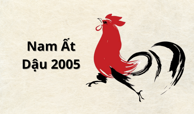 Nam tuổi Ất Dậu: Hiền lành và tư duy sắc bén