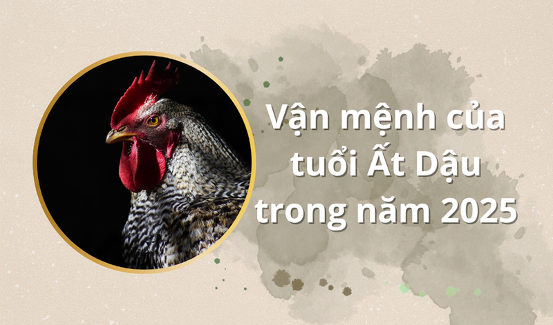 Người tuổi Ất Dậu thường trải qua những giai đoạn thách thức ban đầu