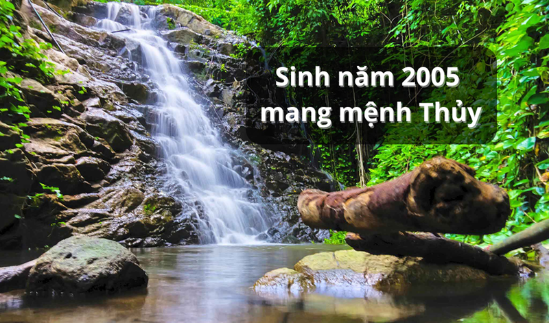 2005 mệnh gì? (2)