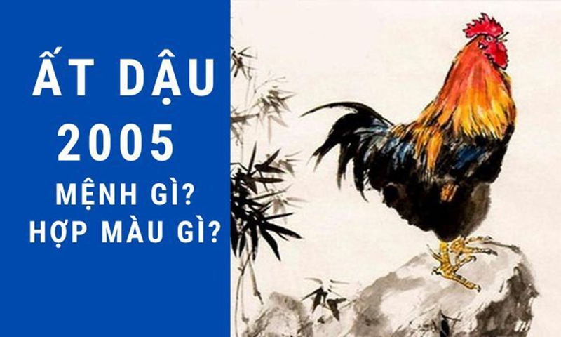 2005 mệnh gì?