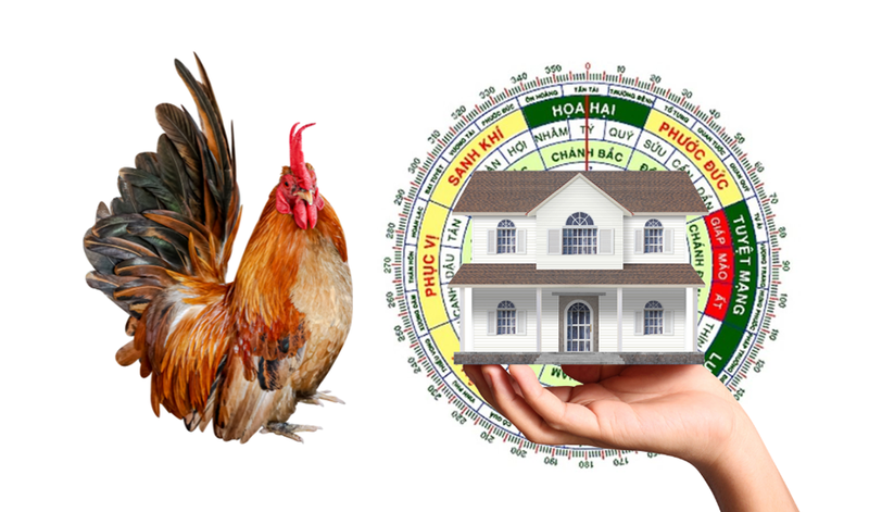Hướng nhà hợp phong thủy cho người tuổi Ất Dậu