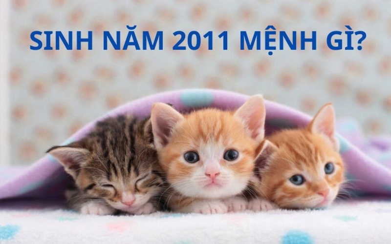 Người sinh năm 2011 thuộc mệnh Mộc