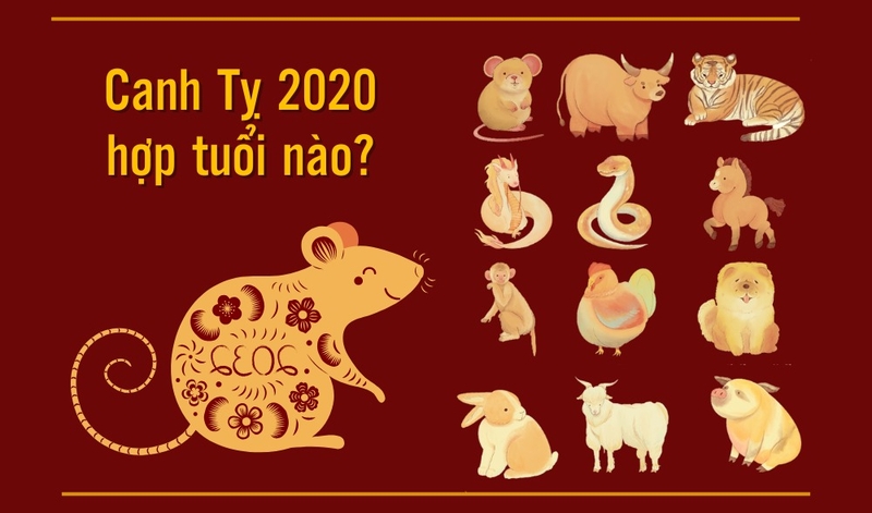 2020 là năm con gì (ảnh 6)