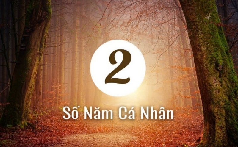 2026 là năm cá nhân số mấy ảnh 3