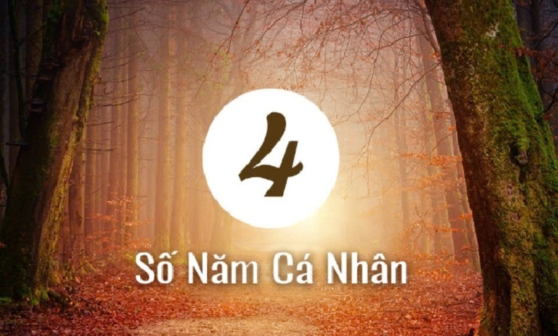 2026 là năm cá nhân số mấy ảnh 4