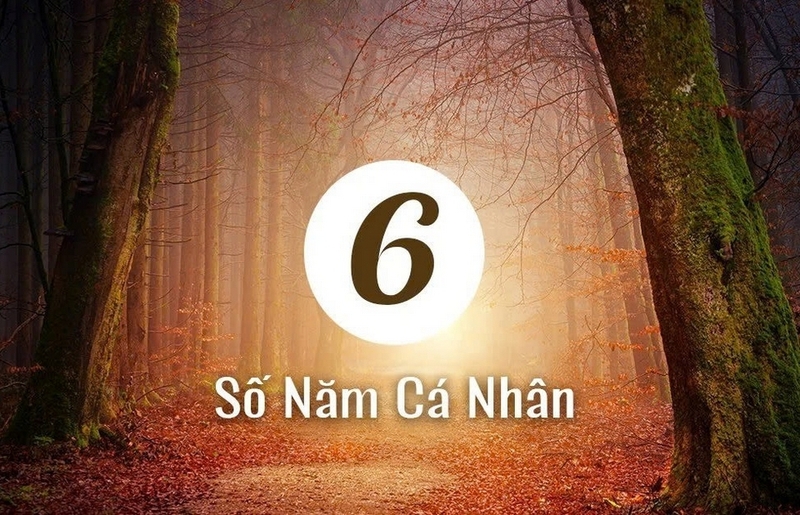 2026 là năm cá nhân số mấy ảnh 5