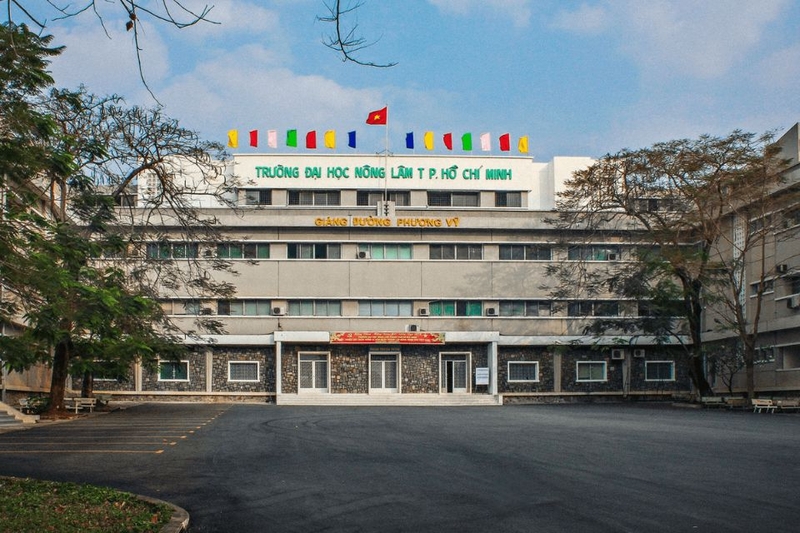 20 điểm khối D nên chọn trường nào ở TP. HCM (ảnh 4)