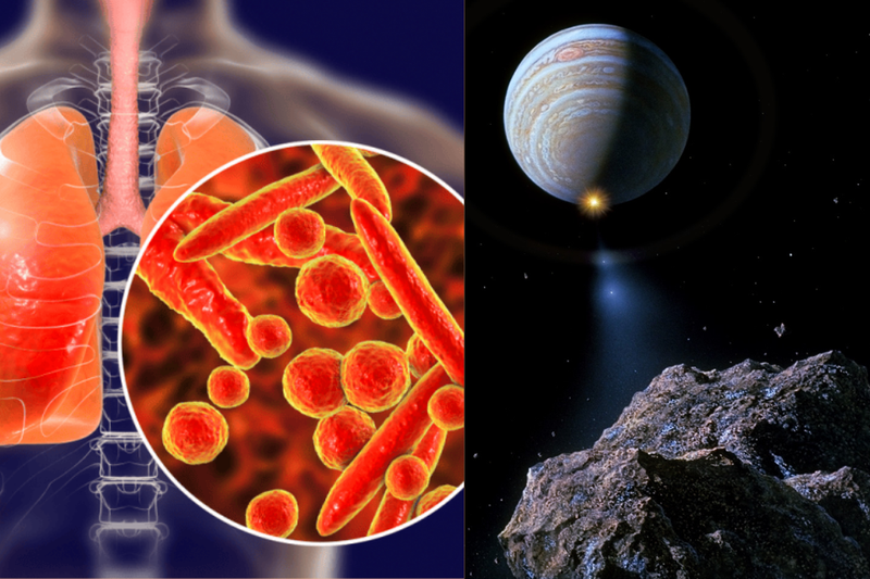 24/3 là ngày gì (3)